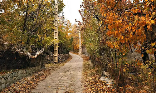 autumn-tehran